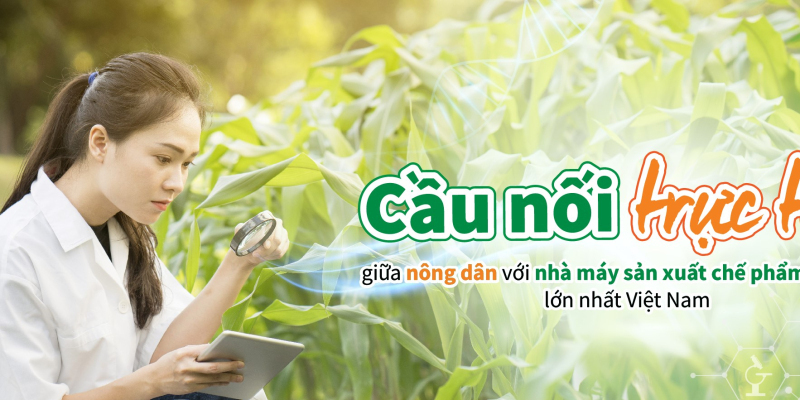 Công Ty CP Ứng Dụng Công Nghệ Xanh Việt Nam