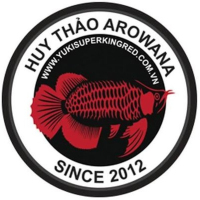 Logo công ty Cá Rồng Huy Thảo Yuki  tại Việt Nam