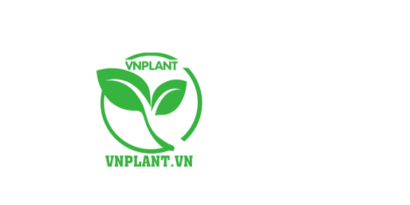 Công Ty TNHH Thương Mại Dịch Vụ VNPlant