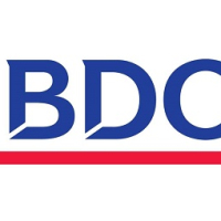Bdo Consulting VN Co., LTD