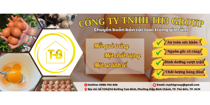 Công Ty TNHH Th3 Group