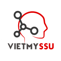 Công Ty TNHH Việt Mỹ SSU
