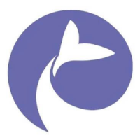 Công Ty TNHH Kingbo Technology