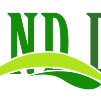 Công Ty TNHH Brand Dico