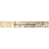 Công ty Cổ phần Roxy Việt Nam