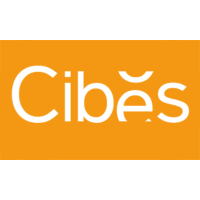 Công Ty TNHH Cibes Lift Việt Nam