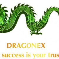 Công Ty TNHH Mtv Dragonex Vietnam